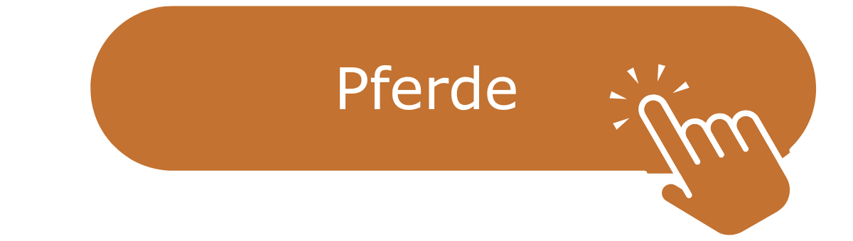 Pferde Button