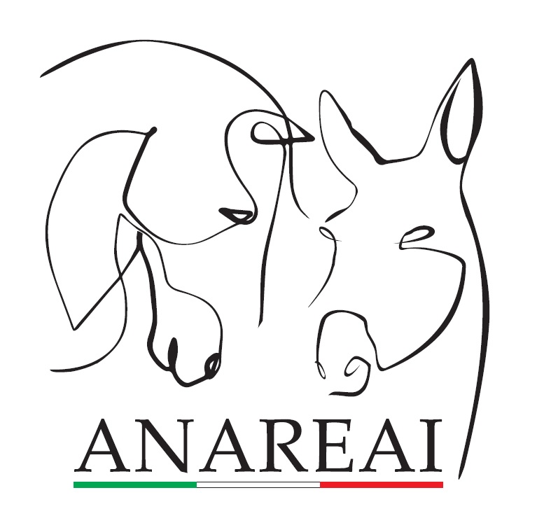 EC22_Logo_ANAREAI