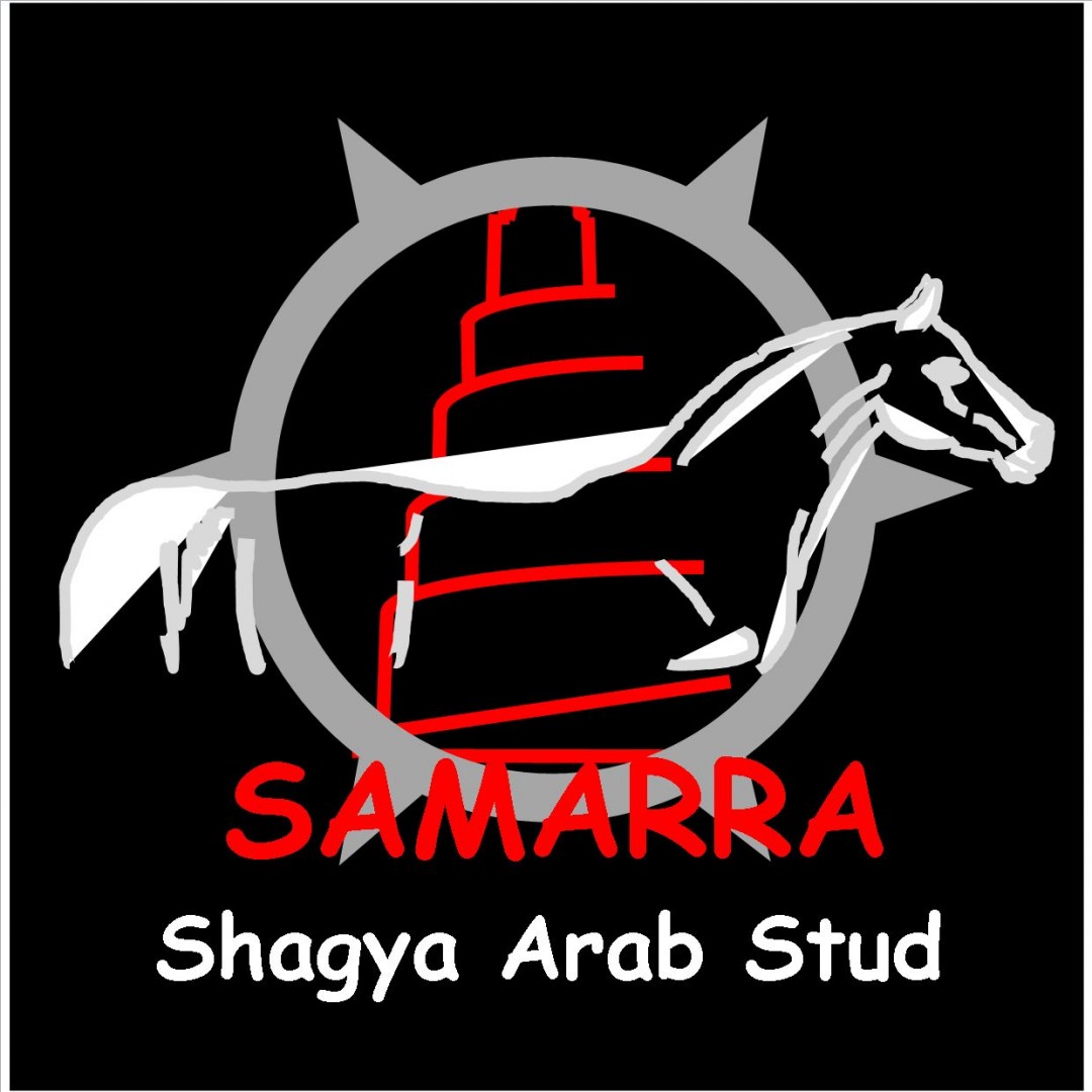 Logo stud