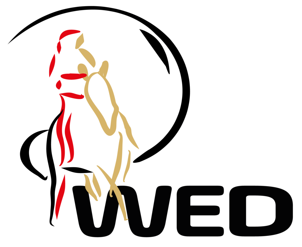 Logo Working Equitation