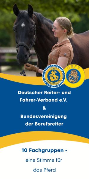 Webbanner BBR 300x600px. Reiterin neben Pferd
