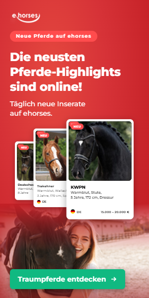 ehorses Webbanner 300x600px 2027